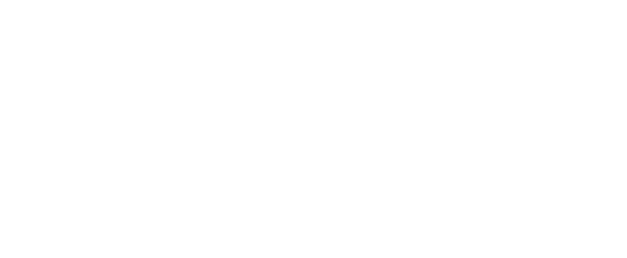 Corvus Solutions